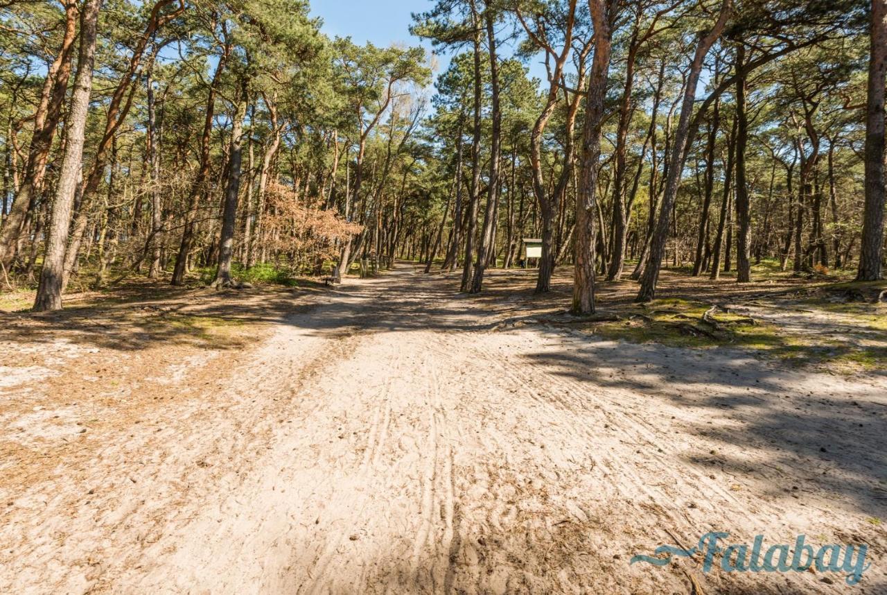 Domki Falabay Vila Karwieńskie Błoto Exterior foto